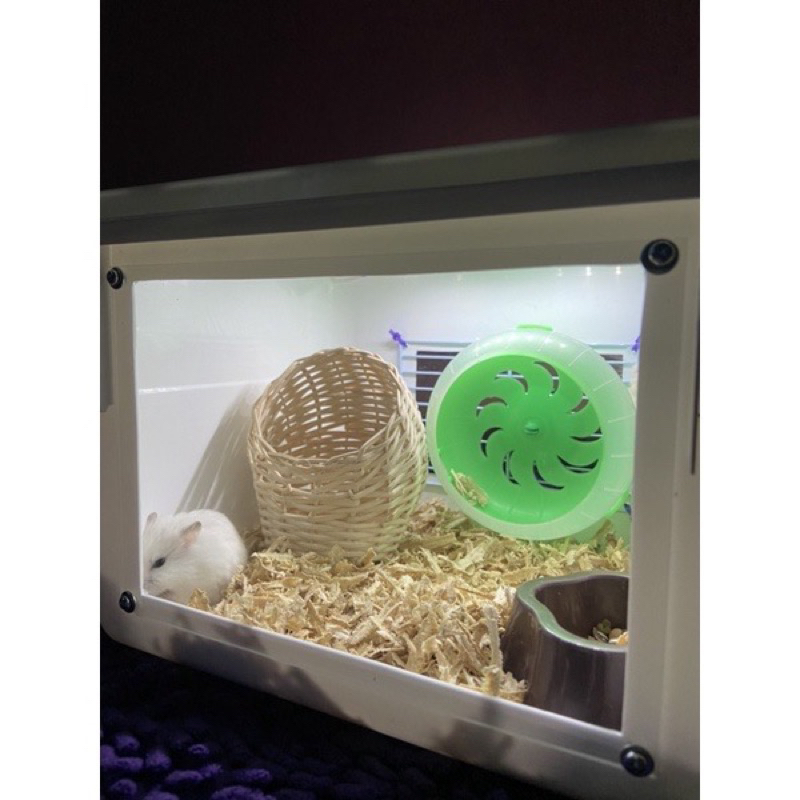 Kandang Hamster 2 / Landak Mini / Gerbil / Marmut Reptil Box Eskrim 8L kandang Akrilik dengan LED KATALOG 2