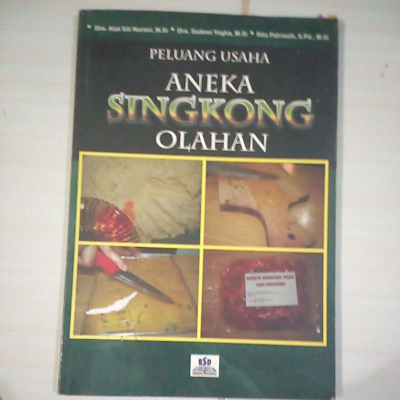 

peluang usaha aneka singkong olahan