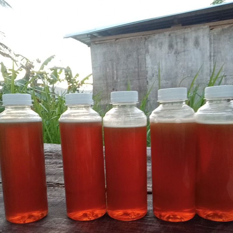 

madu hutan asli sumatra