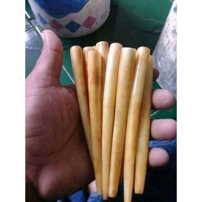 once tulang sapi kuning mirip gading