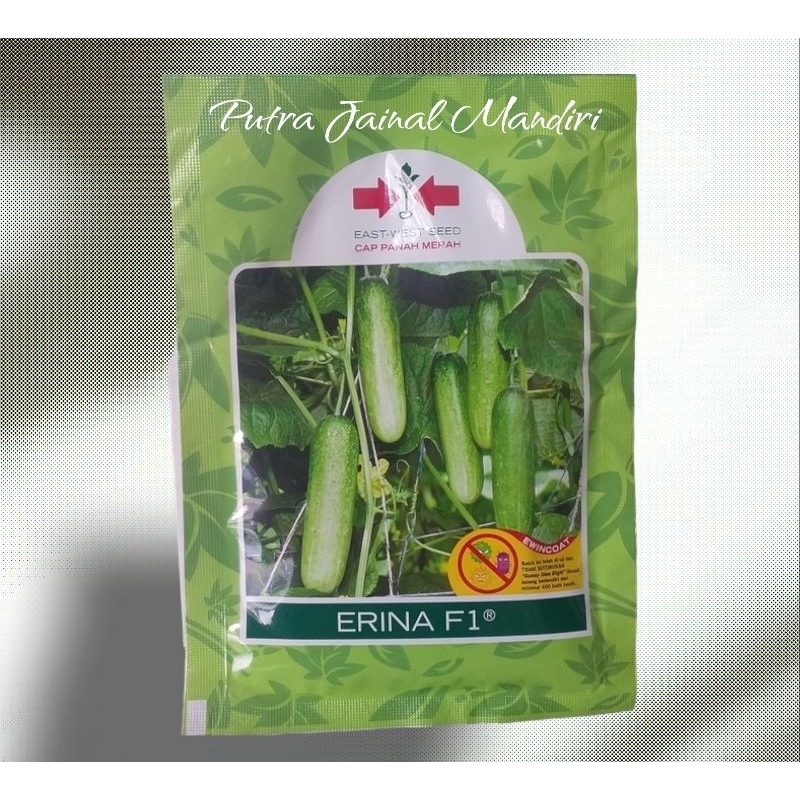 Benih bibit timun lalap Erina F1