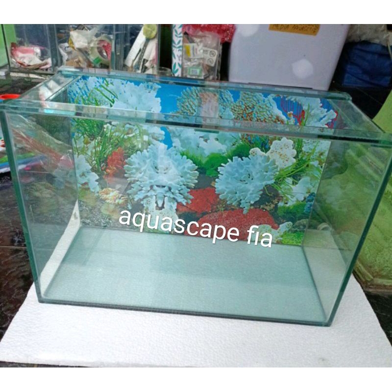 AQUARIUM 40X20X25 BACKGROUND