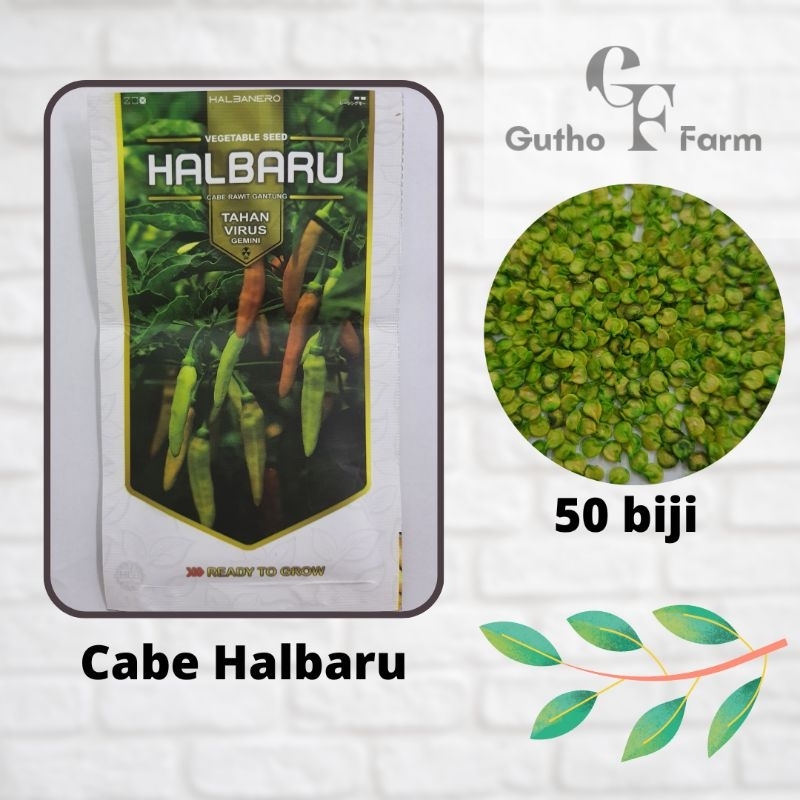 Benih Cabe Rawit Halbaru Repack 50 Biji