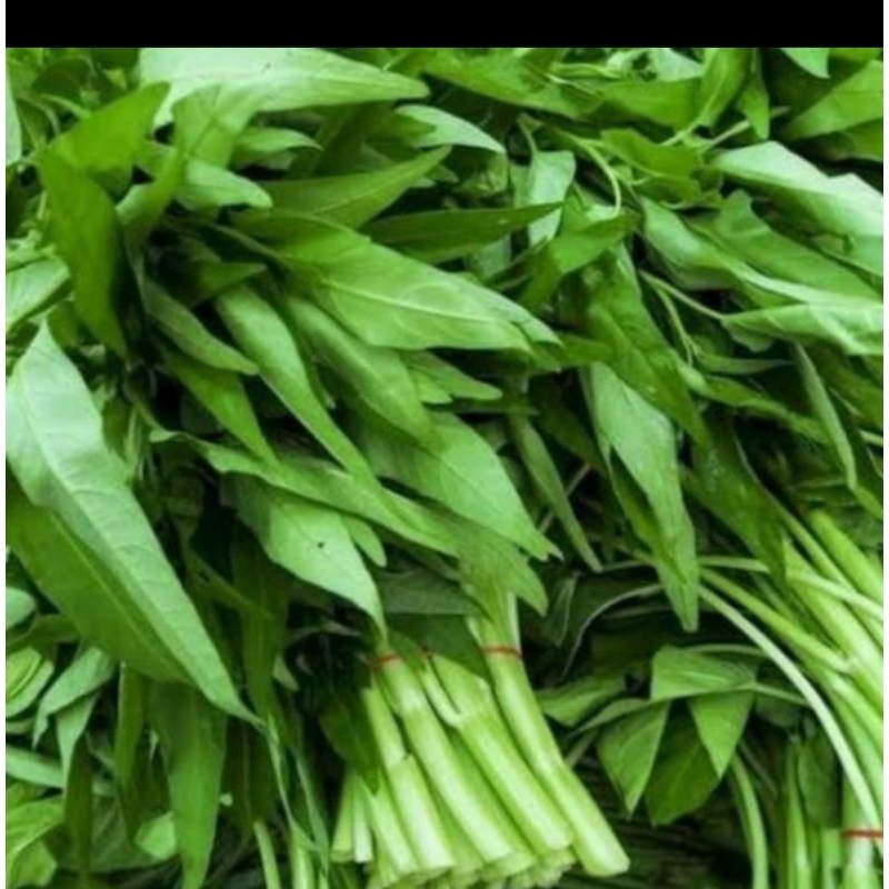 

KIRIM INSTAN kangkung