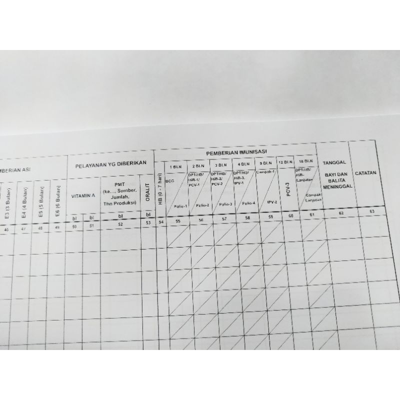 REGISTER POSYANDU (Bayi dan Balita)