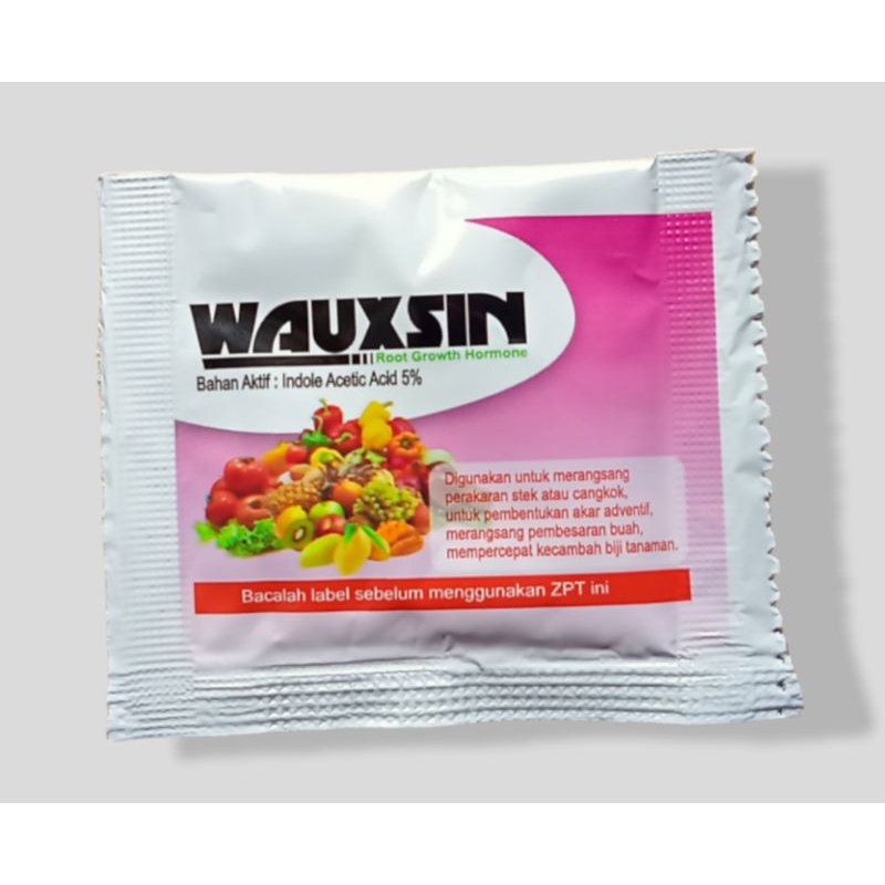 WAUXSIN 2 gr ZPT  ( Original )