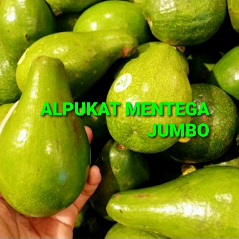 

ALPUKAT MENTEGA JUMBO KHUSUS PARA SULTAN 1 KG (PREMIUM QUALITY)