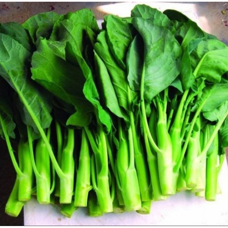 

Sayur Kailan Gai Lan Fresh