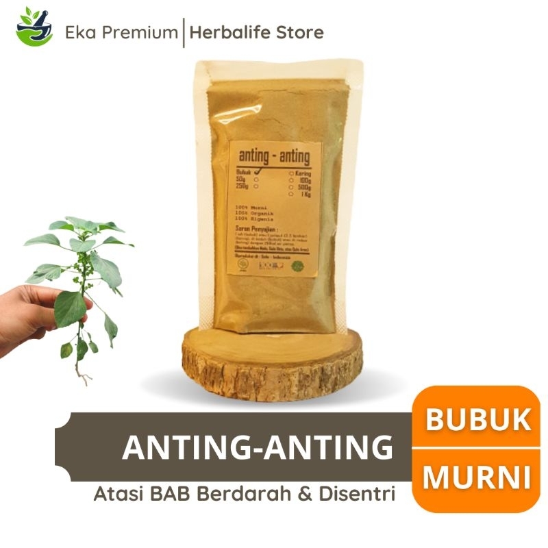 

TANAMAN ANTING ANTING BUBUK Daun Batang Bunga Akar Kering Murni Ramuan Rempah Herbal Jamu Tradisional Bab Berdarah Mimisan Batuk Disentri