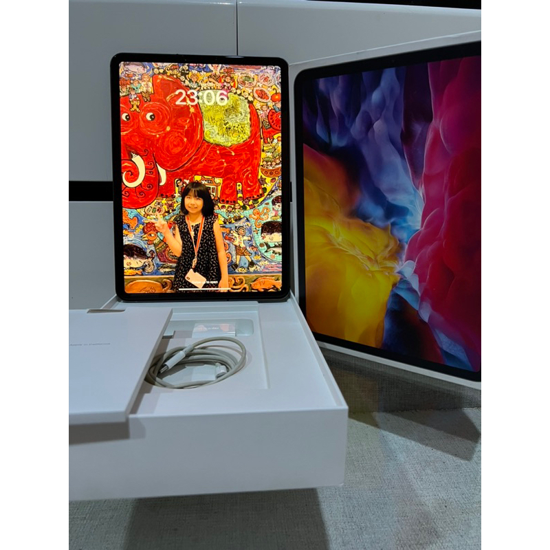 ipad pro second 256gb wifi cell