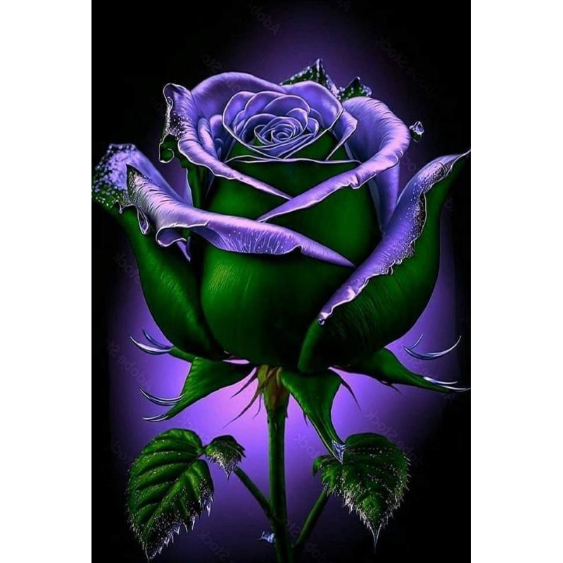 Poster Cetak, BUNGA MAWAR, Ukuran JUMBO, 100x70cm DAN 150x100cm/Hiasan Dinding/Lukisan Cetak/TANPA B