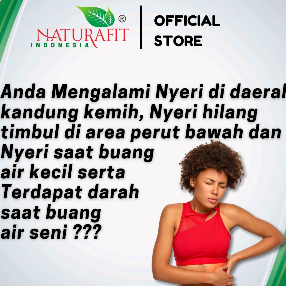 PELVIFIT Obat Herbal Batu Ginjal Batu Empedu Peluruh Batu Ginjal Melancarkan BAK - Naturafit BPOM