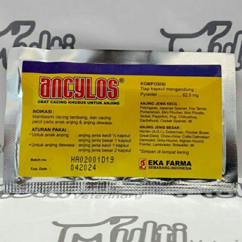 Ancylos - Obat Cacing Anjing Obat Cacing Untuk Anjing