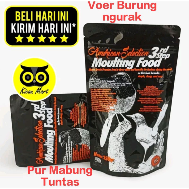 AMS moulting food pur raja ngurak voer perontok bulu mabung tuntas sampai rapi pakan burung kicau mu