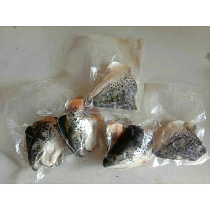 

kepala salmon fresh/frozen size berat+200gram
