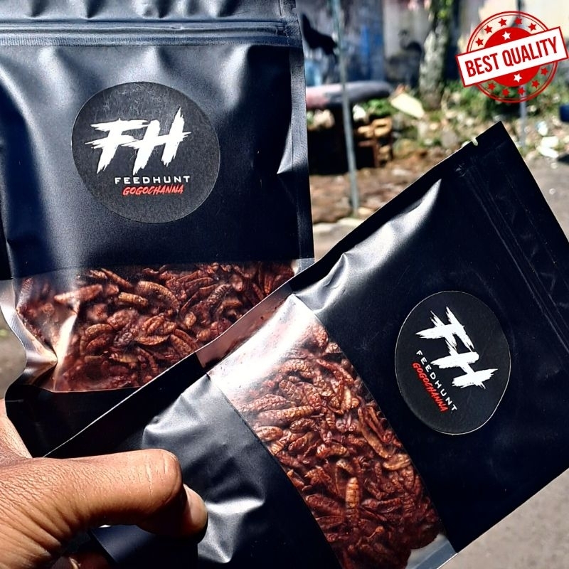 FEEDHUNT SUPER PREMIUM RED MAGGOT BSF