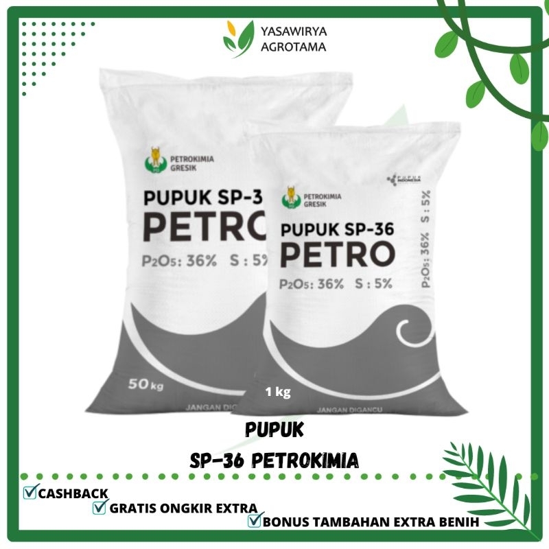 PUPUK PHOSPAT SP-36 KEMASAN 50KG