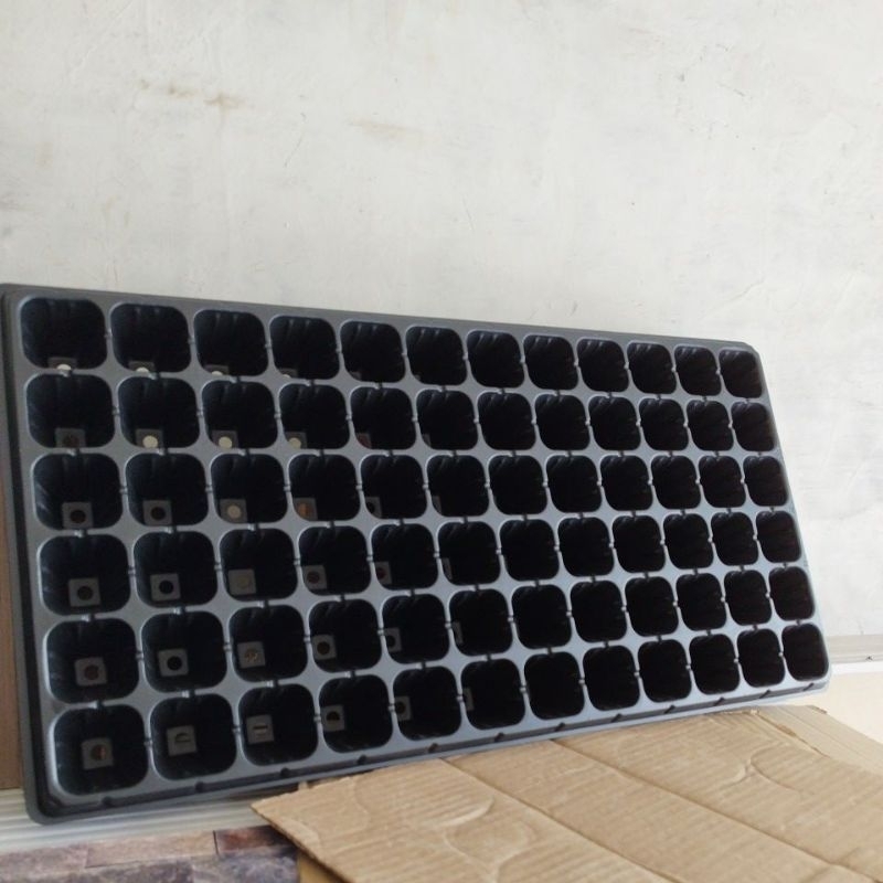 (medan)TRAY SEMAI 72 LUBANG