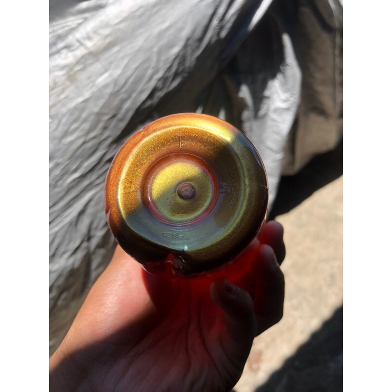 Cat bunglon / Chameleon NC