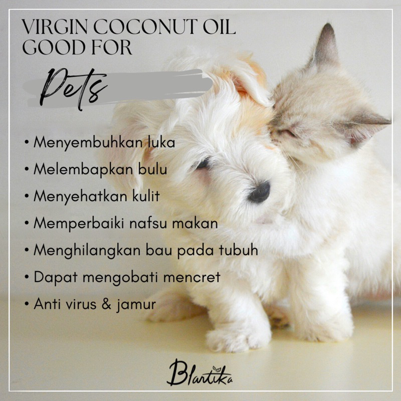 Virgin Coconut Oil VCO 60 ml - minyak kelapa murni 100% - Blantika -minyak VCO PREMIUM - EVCO ORIGINAL - Cold Pressed - VCO ORIGINAL  - VCO COLD PRESSED - VIRGIN COCONUT OIL ORGINAL - VCO MURNI