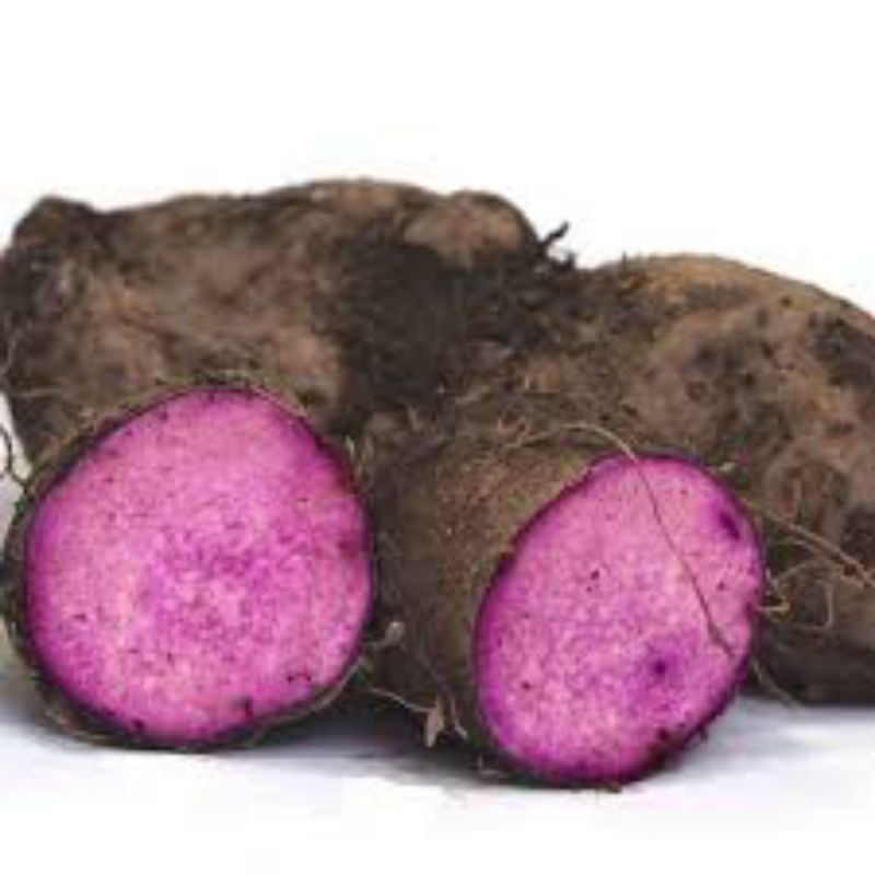 

BENIH UWI UNGGU 1KG BERTUNAS