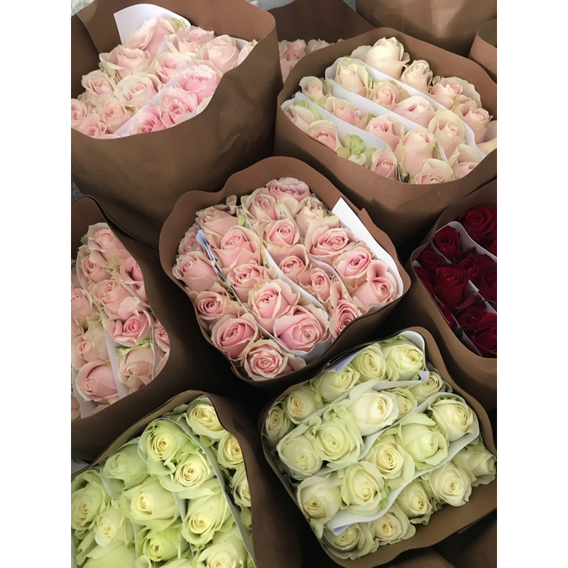 Rose Semi Holland - Mawar bandung (bunga potong)