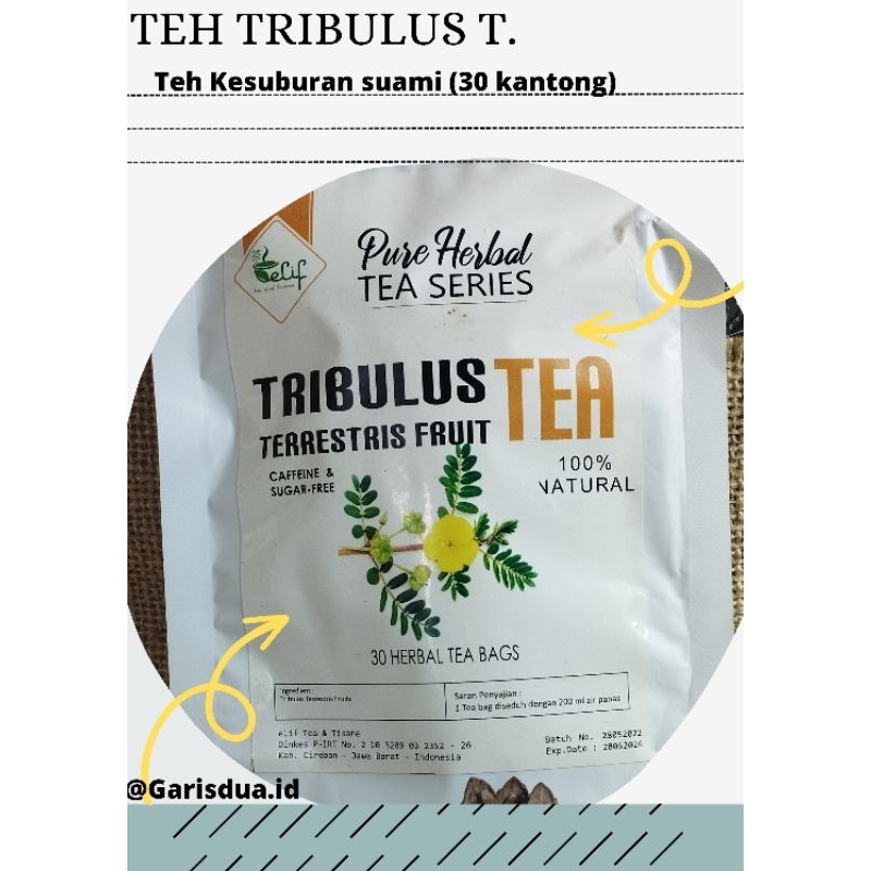 

TEH TRIBULUS TERRESTRIS (Herbal penyubur Suami) [Hemat1 bulan]