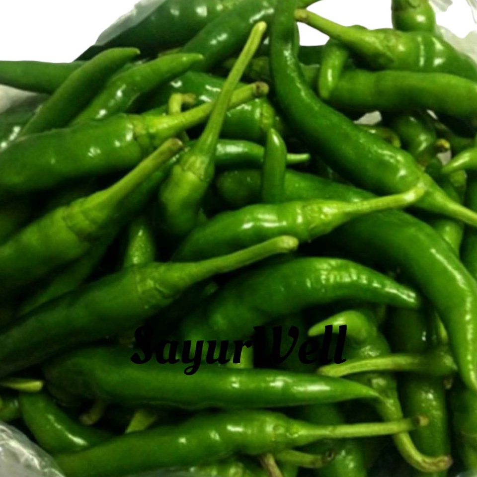 

Cabe Hijau Besar Cabe Tw 250Gr , 500Gr