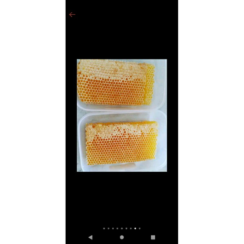 

Madu Sarang Melifera 500gr