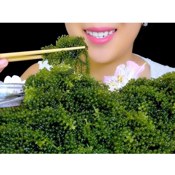 

[PLEASE COOSE JNE ONLY] Anggur Laut Latoh Caviar Sea Grape - Makanan Bervitamian Bagus untuk Diet Fresh Campuran Rujak, Lalapan, Urab Sayur