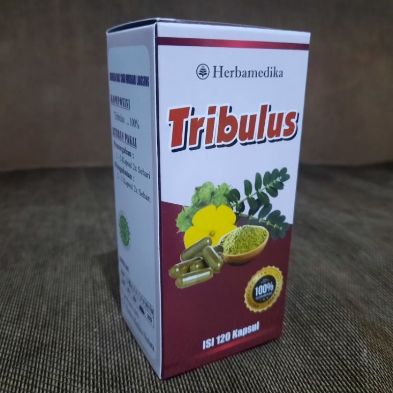 Kapsul Tribulus Herbamedika 120 Kapsul