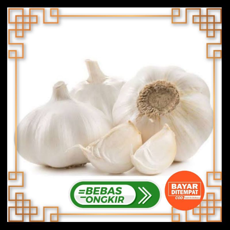 

BAWANG PUTIH KUALITAS PREMIUM