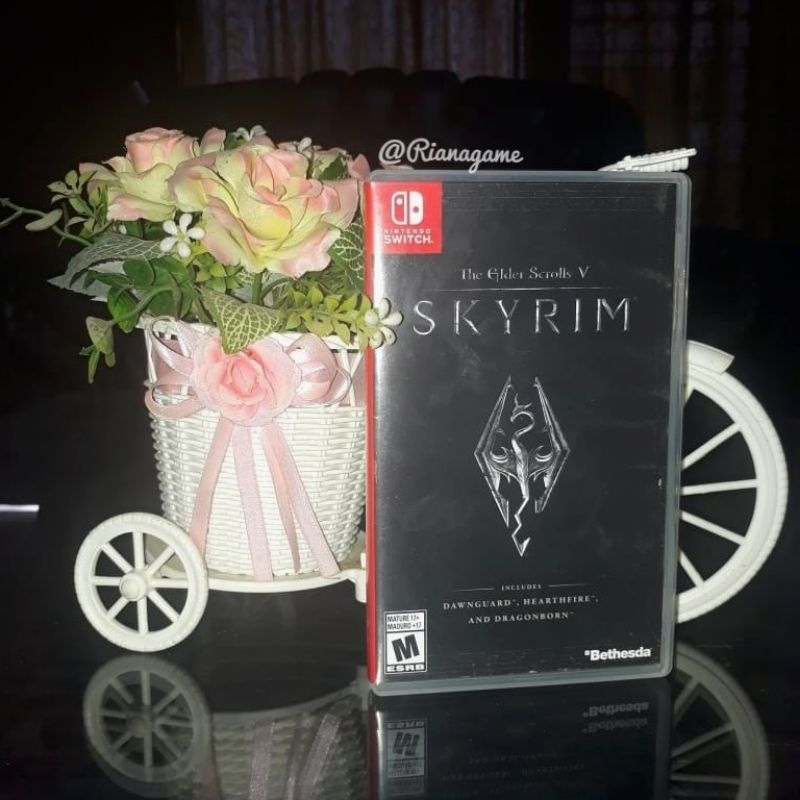 Game Nintendo Switch The Elder scroll V Skyrim TES V Skyrim Game CD Kaset Cartridge Bekas Second