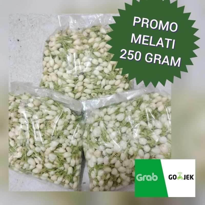 melati 250 gram promo bunga murah kembang segar dan wangi