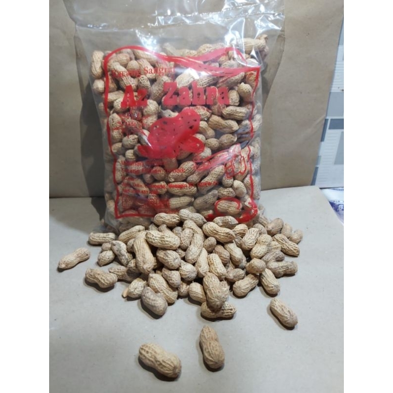 

KACANG KULIT SANGRAI 1 KG