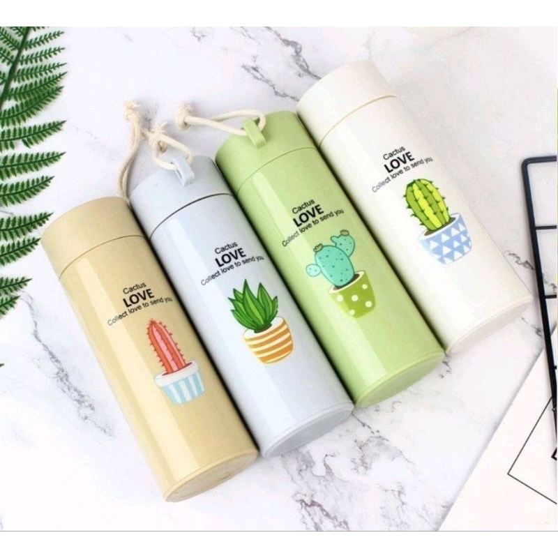 botol kaca kaktus/botol kaktus/botol kaktus kaca