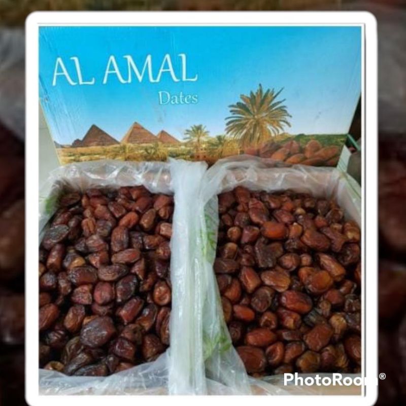 

Kurma Mesir Al Amal