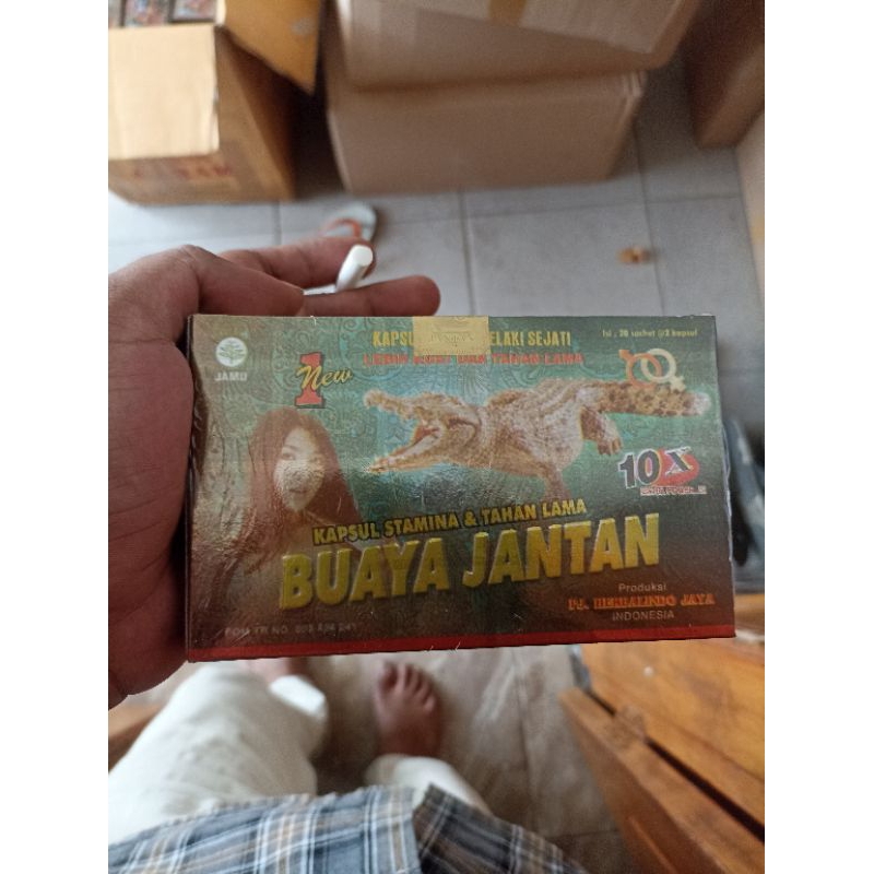 buaya jantan Kapsul  original