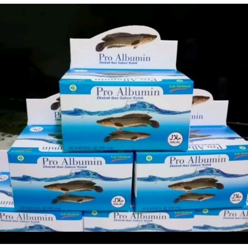 Pro Albumin Kapsul Ikan Gabus Obat Pra Operasi Cesar