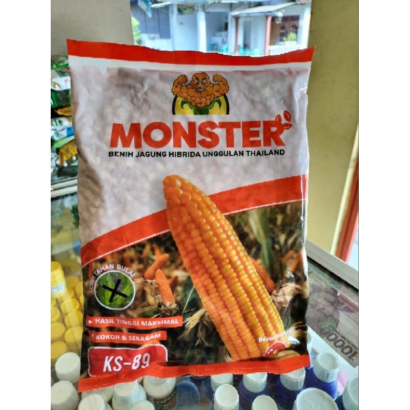 Benih jagung MONSTER ks-89
