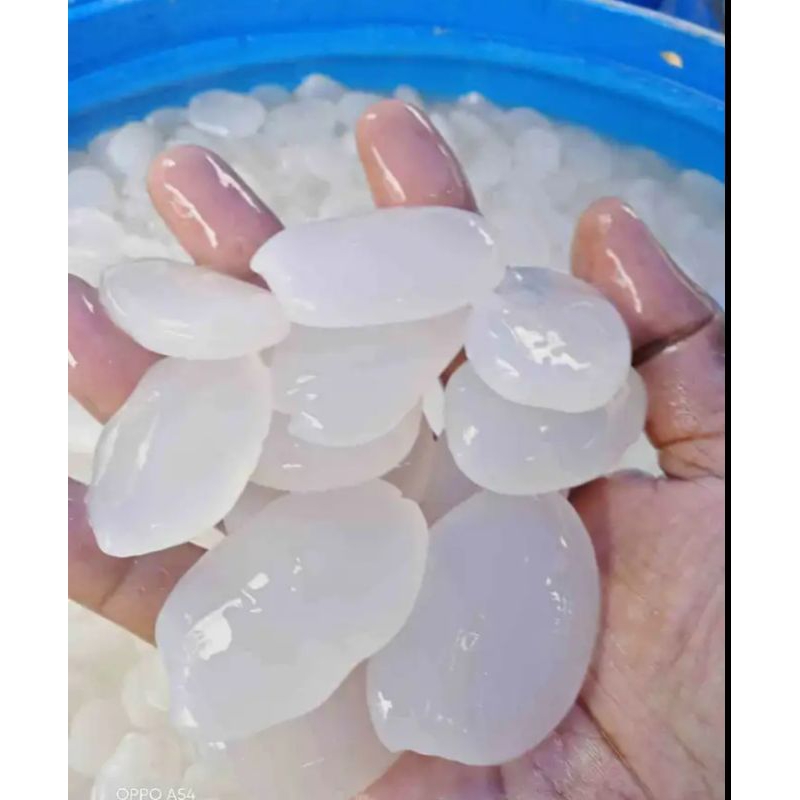 

Kolang Kaling buat kolak 500 gram