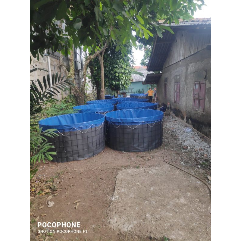 kolam terpal Orchid kotak