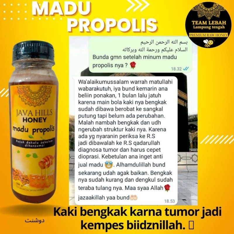 

Javahills honey madu propolis