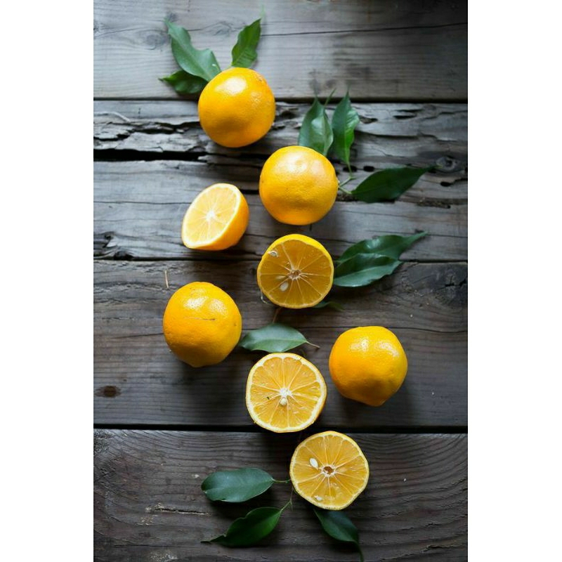 

Lemon