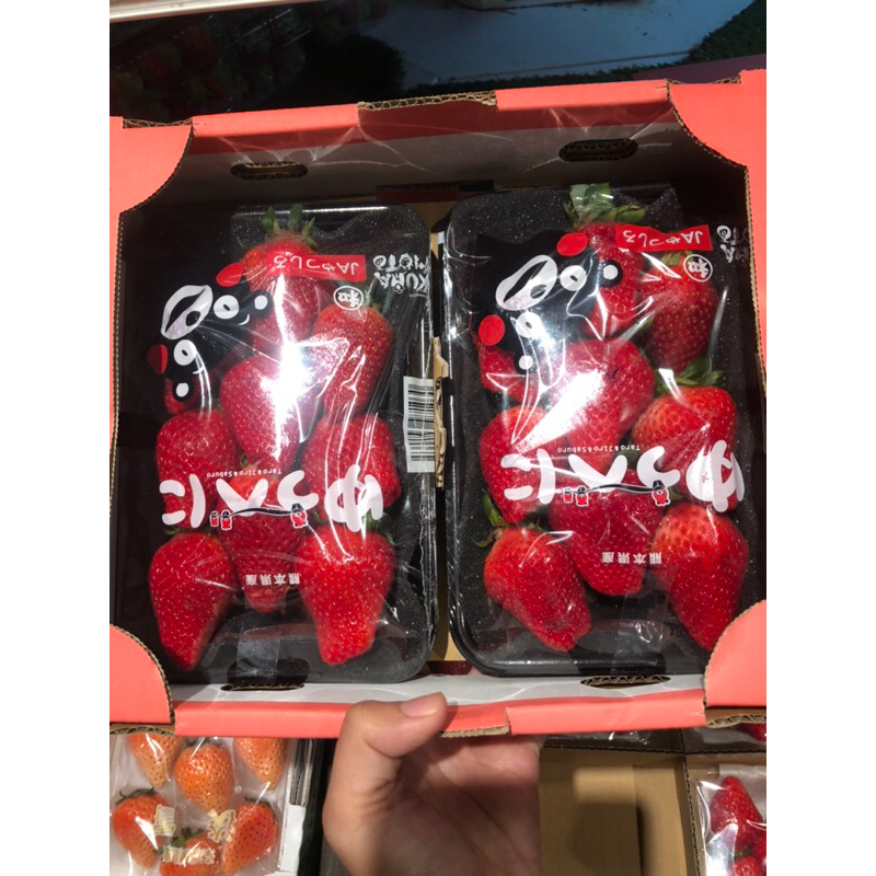 

Strawberry Jepang Red Kumamoto Original / Pack