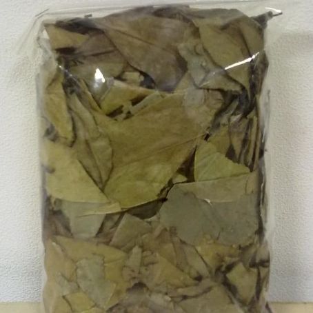 

TERBAIK HERBAL DAUN NYAMPLUNG KERING- 1 KG