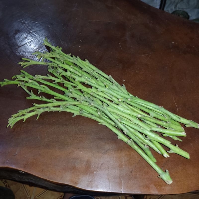 Entres Alpukat SWY 02 Valid