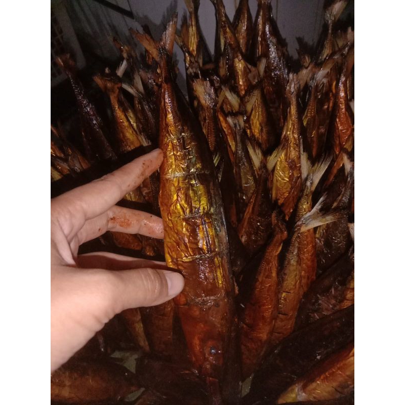 

Ikan Salem Asap 500gr isi 3-5pcs