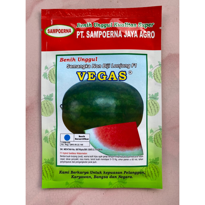 SEMANGKA NON BIJI LONJONG VEGAS F1