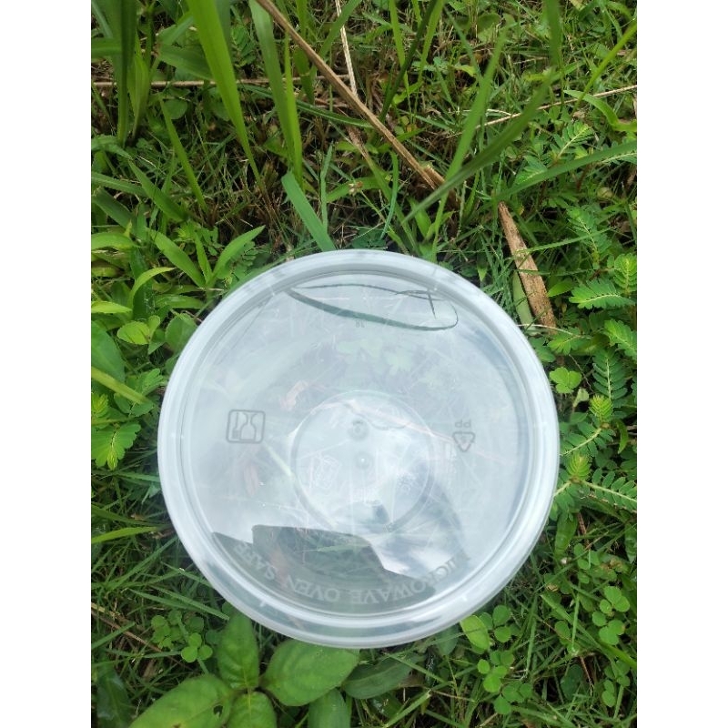 Cup Salad buah 300ml/ Thin wall container 300ml